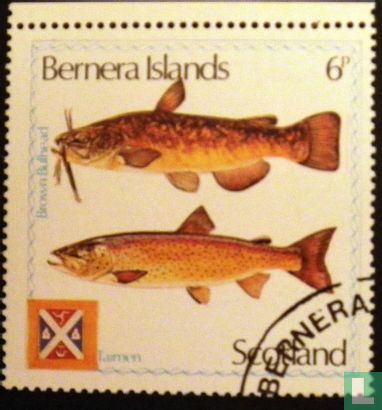 Fish
