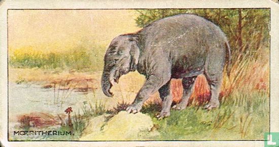 Mœritherium - Bild 1