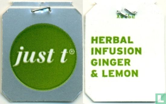 Herbal Infusion Ginger & Lemon - Afbeelding 3
