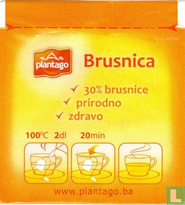 Brusnica - Bild 2