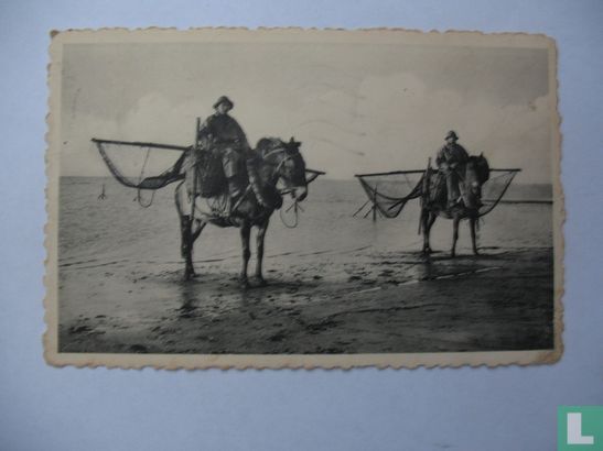 Garnalenvissers - Image 1