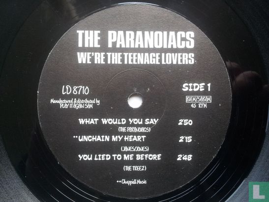 We're the Teenage Lovers - Image 3
