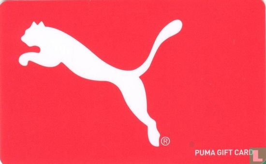 Puma - Bild 1