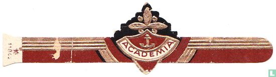 Academia - Image 1