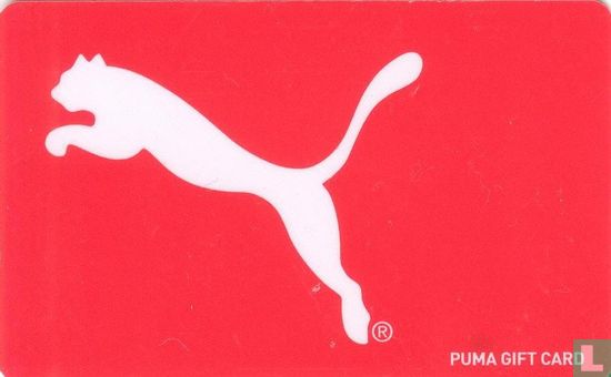 Puma - Bild 1