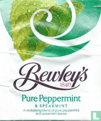 Pure Peppermint - Image 1