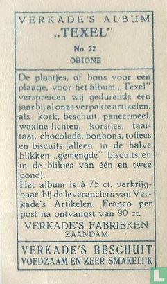 Obione - Image 2