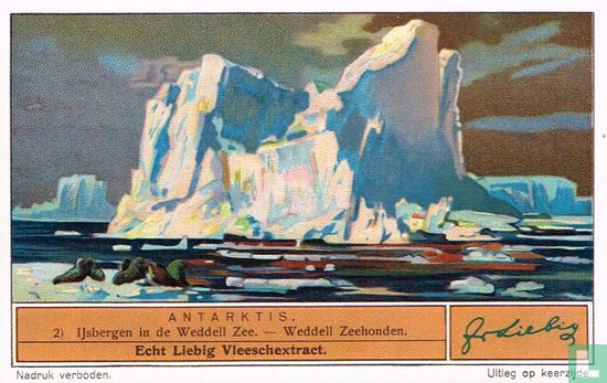 IJsbergen in de Weddell Zee - Weddell Zeehonden