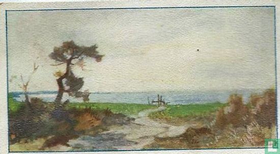 Kust bij Ermelo - Bild 1