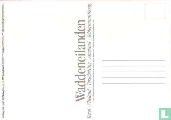 Waddeneilanden - Image 2