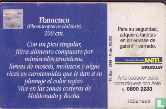 Flamenco - Afbeelding 2