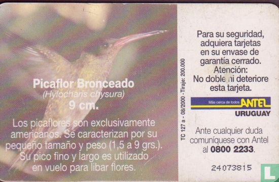 Picaflor Bronceado - Image 2
