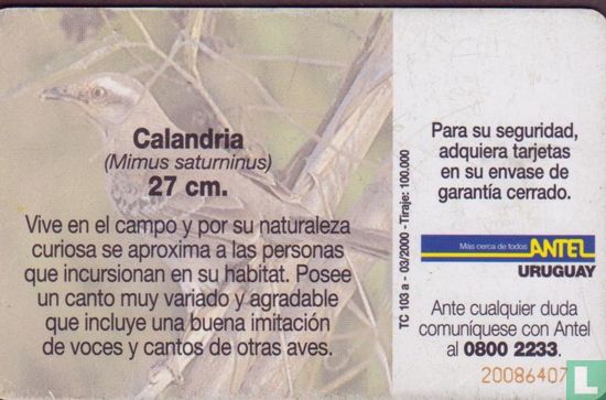Calendria - Bild 2
