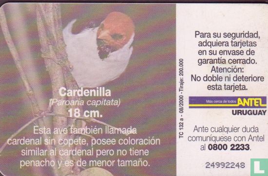 Cardenilla - Bild 2