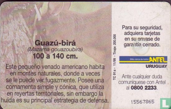 Guazu - Bira - Afbeelding 2