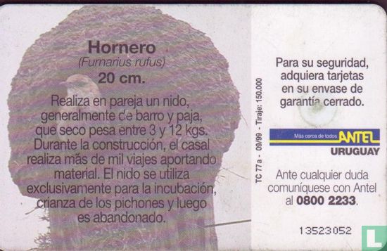 Hornero - Image 2