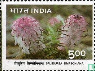 Fauna and flora of the Himalaya