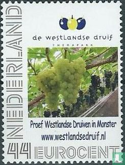 The Westland Grape