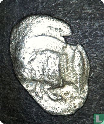 Mysië, Kyzikos, AR8 Obool, 480-450 BC, onbekend heerser var. - Afbeelding 1