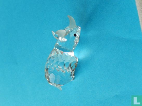 Rhinoceros