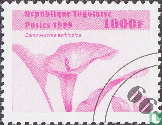 Blumen