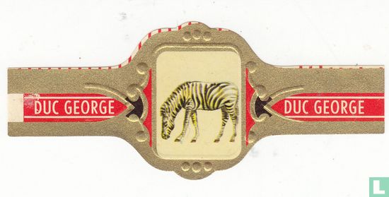 Zebra  - Image 1