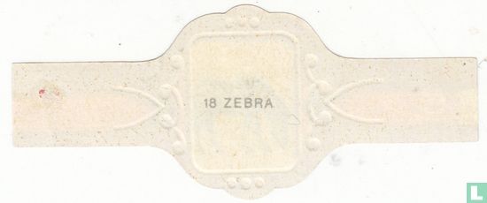 Zebra  - Image 2