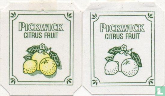 Citrus Fruit-Citrusvruchten - Image 3