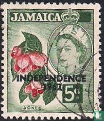 Ackee with overprint