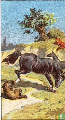 Reintje, de Wolf en het Paard, - Afbeelding 1