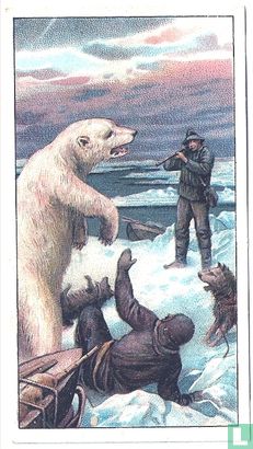 Door IJsberen aangevallen. 5. Augustus 1895. - Afbeelding 1