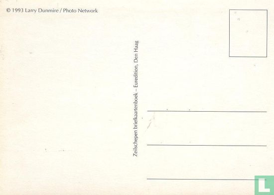 Zeilschip  - Image 2