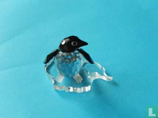 Pinguin Vrouwtje