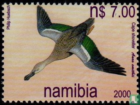 Eenden van Namibie