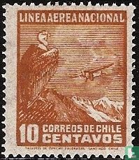 Plane and condor - Image 1