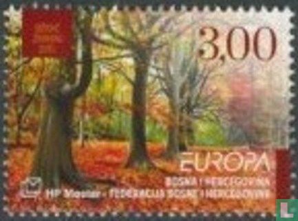 Europa – Forests