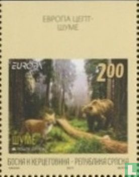 Europe – Forests