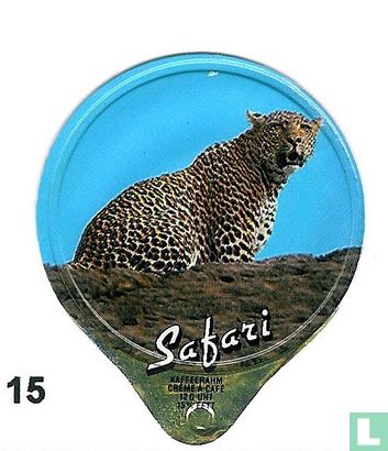 Safari     