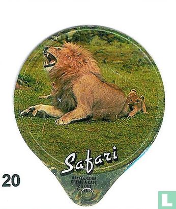 Safari    