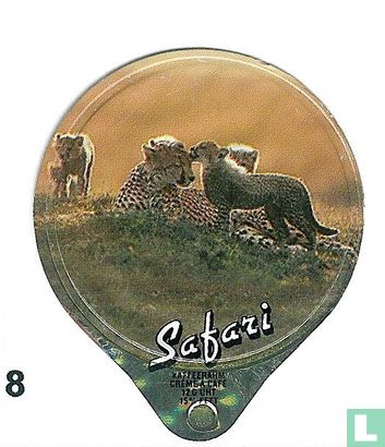Safari   