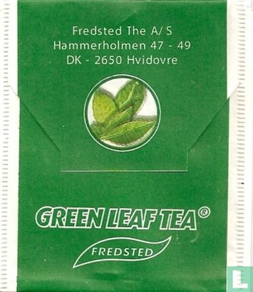 Green Leaf Tea [r] Med Kvæde - Afbeelding 2