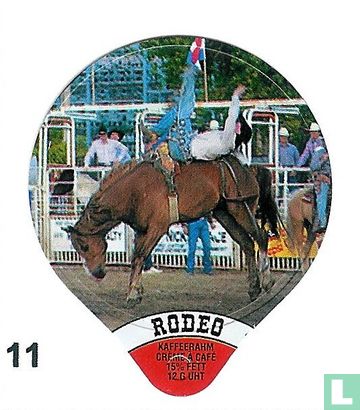 Rodeo      