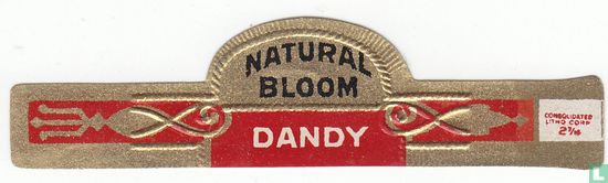 Natural Bloom Dandy - Afbeelding 1
