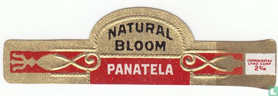 Bloom naturel Panatela - Image 1