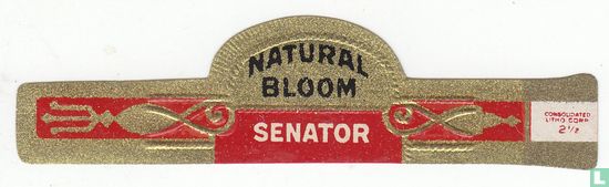 Sénateur de fleurs naturelles - Image 1