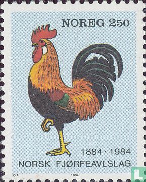100 ans d'entreprise avicole norvégienne