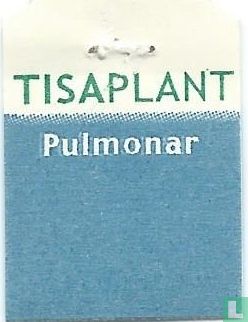 Pulmonar - Image 3