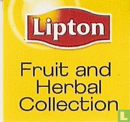 Uplifting Lemon Ginger  - Image 3