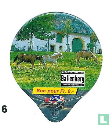 06 Ballenberg
