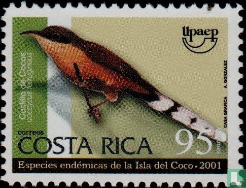 Birds of Cocos Island